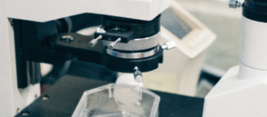 Microscope with a hand